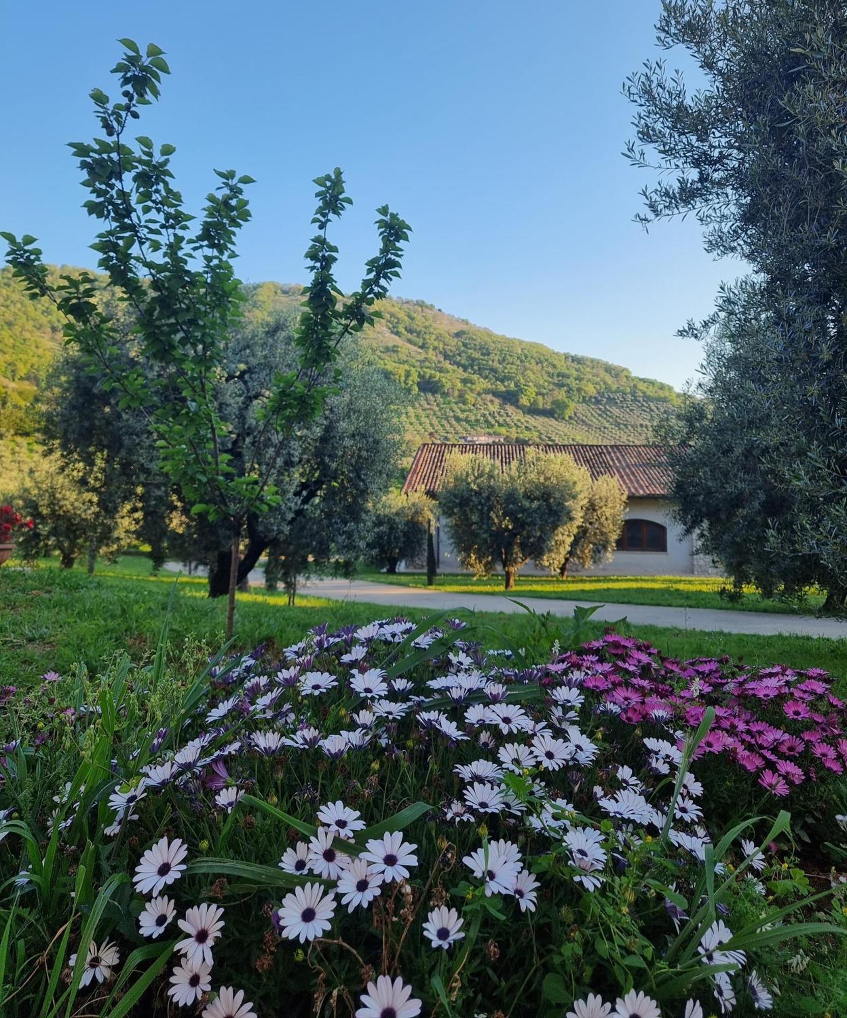 Casale Dei Priori Bed and Breakfast Rocca Massima Eksteriør billede